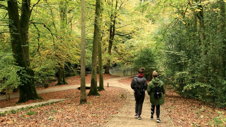 Visitors walking in Chapel Woods in autumn at Quarry Bank, Cheshire
